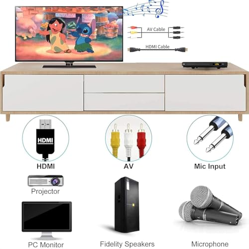 MAITE MTDVD-FE 1080p Region Free DVD Player with HDMI Dual Mic Jack Input