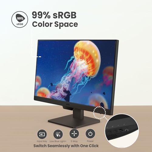 BenQ GW2490 24 Inch Monitor FHD 1920x1080 100Hz IPS