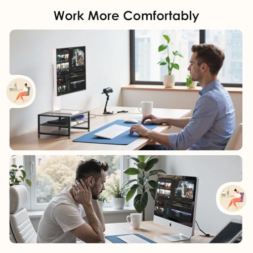 ECOLOVI 2-Tier Monitor Stand - Black - Monitor Stand for Laptops & Printers - Easy Assembly