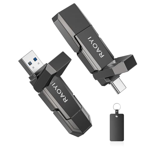 RAOYI 256GB 256USBC External Solid State Drive USB 3.2 Gen 2