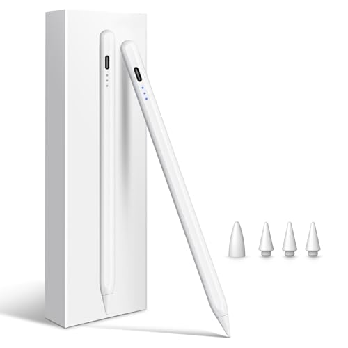 Cisteen Stylus Pen for iPad Compatible with iPad Models 2018 and Later Includes Lithium-Ion Battery
