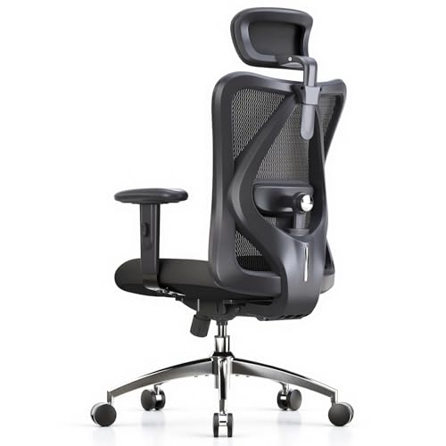 SIHOO M18 Ergonomic Office Chair Black, Model B100-Lite-M101-JT-JP, Adjustable Headrest, Lumbar Support, 330lbs Weight Capacity