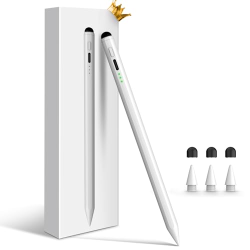 STYLUSHOME 1 Lithium Polymer FS002 Stylus Pen for iPad Pro 12.9/11/10/9/8/7/6/Air/M2/M4/Mini/5/6