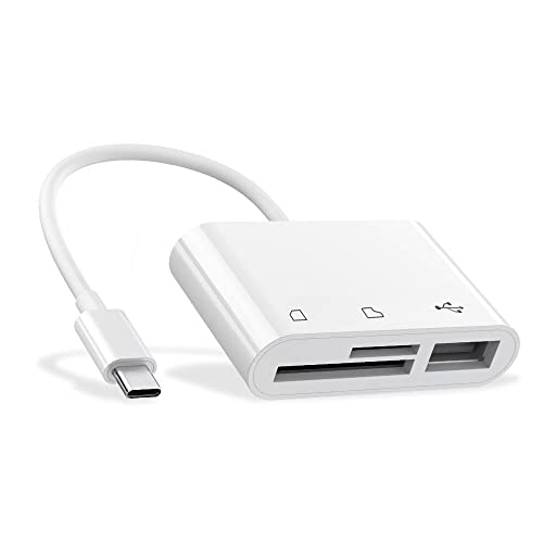 RayCue 2.76x0.79x0.39 in USB C Memory Card Reader A-CIGNA-CHECHONG