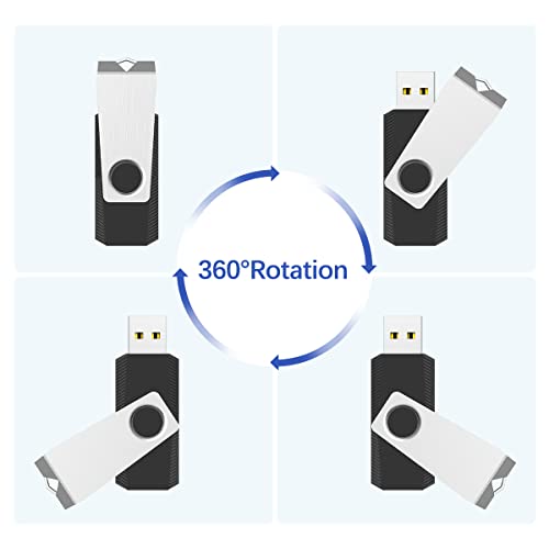 RAOYI 32GB USB 2.0 Flash Drive U666-Black-32G