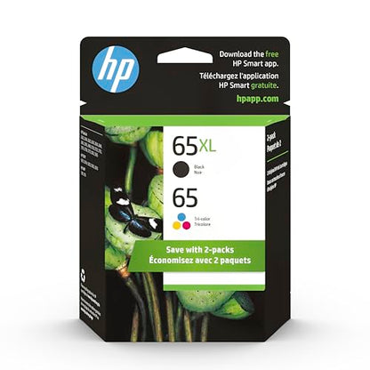 HP Original 65 Tri-Color and 65XL Black Ink Cartridges 300 Page Yield 2-pack