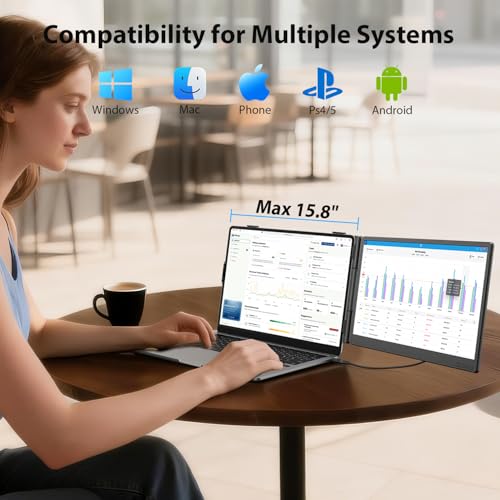 APILDELLA 14 Inches A4 1920x1080 60Hz IPS LCD Monitor