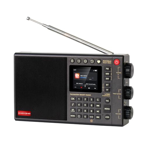 CHOYONG 7.87" LC90 Multi-Band Portable Internet Radio