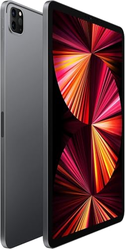 Apple 256GB MTXQ2LL/A 2388x1668 60Hz LED Tablet