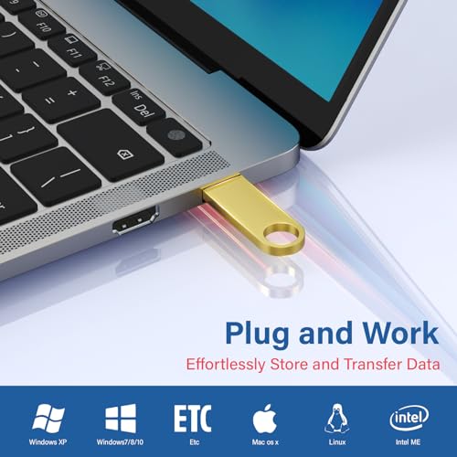 Wooolken 1GB USB Flash Drive 5 PCS USB 2.0 USB-A Compatible
