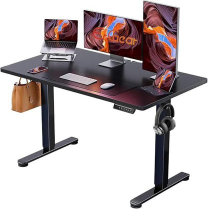 ErGear 47.2 x 23.6 Inches Electric Standing Desk EGESD5B Black