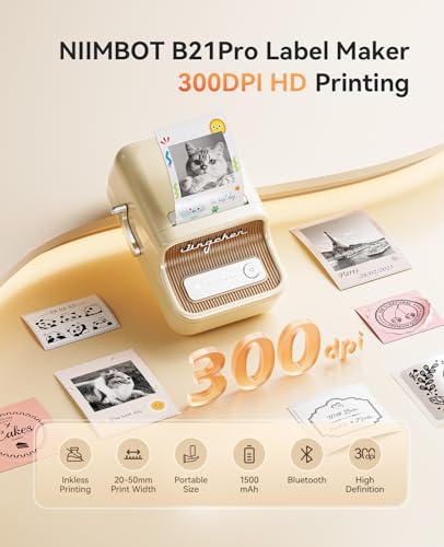 NIIMBOT B21 Pro Portable Label Printer 300DPI