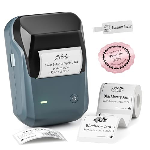NIIMBOT B1 Portable Thermal Label Printer 203dpi Monochrome with Bluetooth Connectivity