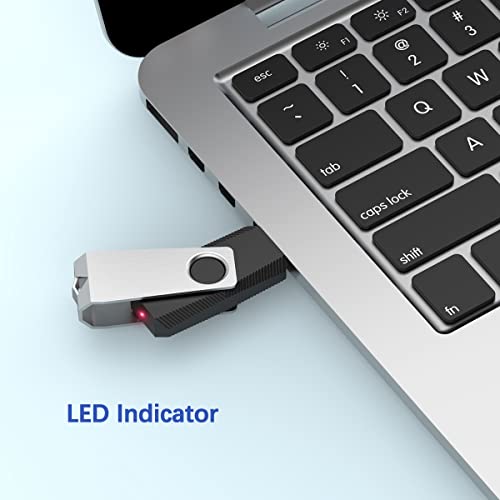 RAOYI 32GB USB 2.0 Flash Drive U666-Black-32G