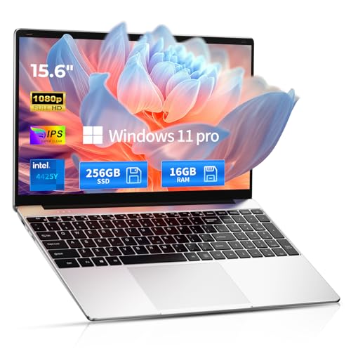 SAGAWHALE 256GB 4425Y 15.6" 1080p IPS Ultra-Portable Laptop
