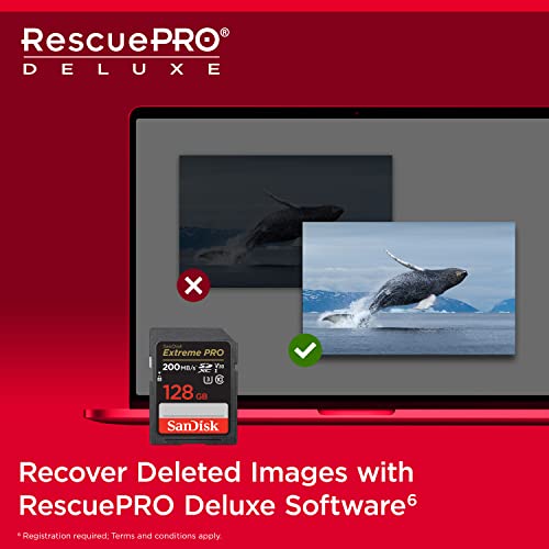SanDisk 128GB Extreme PRO SDXC UHS-I Card - SDSDXXD-128G-GN4IN