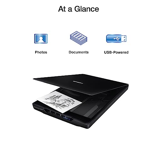 Epson Perfection V19 II 4800 dpi USB Flatbed Scanner