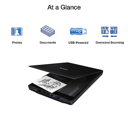 Epson 17.25"D x 12.12"W x 3.4"H Perfection V39 II USB Document and Photo Scanner - 300 dpi