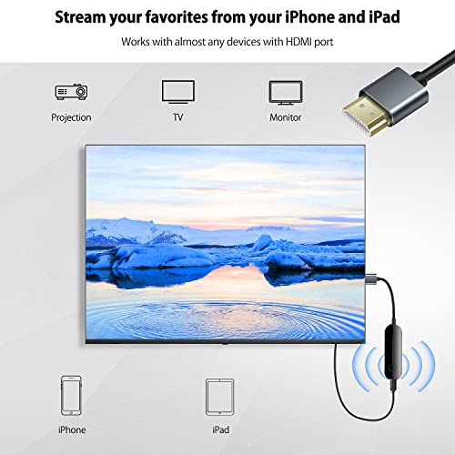 lulaven WF-001 HDMI Adapter with 1 Port, 1 Amps Current Rating, Compatible with Television and Projector