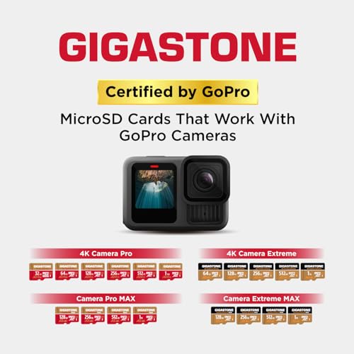Gigastone 256GB GS-2IN1666XU3V30A1 Micro SDXC Card UHS-I U3 C10 V30
