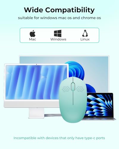 seenda Wireless Mouse for Laptop 2.4G Noiseless Mouse USB Receiver Optical Right Hand 3 Button Compact