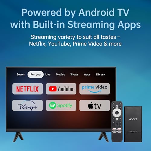 GOOVIS 110" A1D4 1920x1080 60Hz OLED Head-Mounted Display