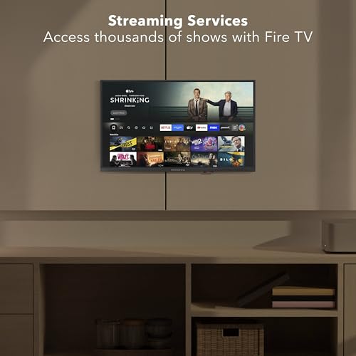 Insignia 24" Class F20 Series LED HD TV 720p 60Hz LCD Television