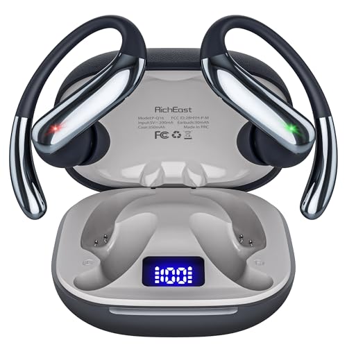 RichEast Earbud Translator P-Q16 Black 144 Languages 6.0 Touch Control Office Products