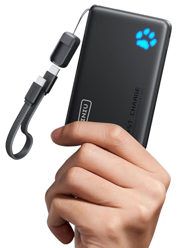 INIU Portable Power Bank 10000mAh Model P41 USB Charging Device