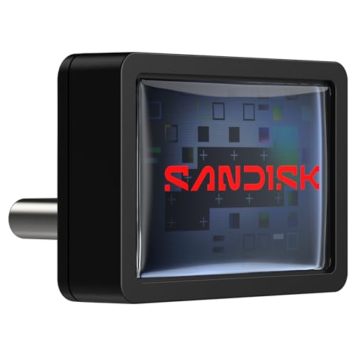 SanDisk 256GB SDCZ530-256G-G46 USB-C Flash Drive - 400MB/s Read Speed, USB 3.2 Gen 1, Plug-and-Stay - Black