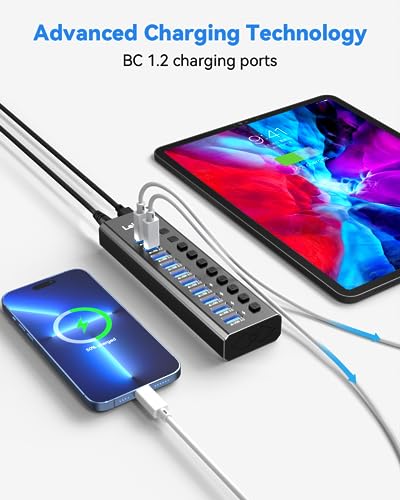 LEINSIS 10-Port Powered USB Hub KZW-U10217B