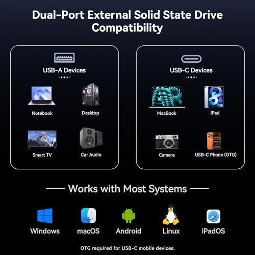 LINTYLE 128GB External SSD NAND Flash Drive, 450MB/s Read Speed, USB 3.2 Gen 1, Dual Connector: USB Type-C & Type-A, Silver, External Storage Device