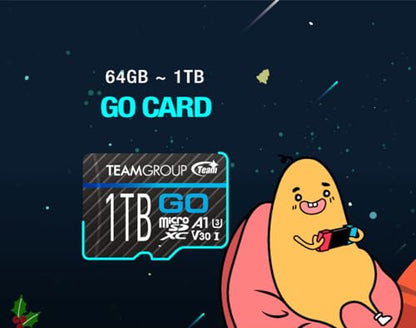 TEAMGROUP 256GB GO Card MicroSDXC UHS-I U3 V30 Flash Memory Card