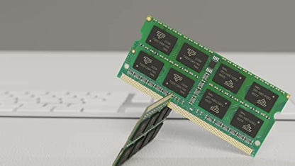Timetec 8GB DDR3L 1600MHz Non-ECC SO-DIMM Laptop Memory Module