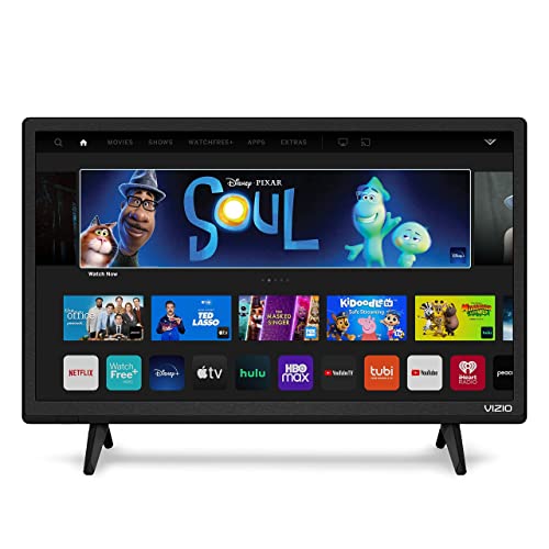 VIZIO 24 D24F-J09 1080p 60Hz LCD TV
