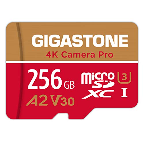 Gigastone 256GB GS-2IN1666XU3V30A1 Micro SDXC Card UHS-I U3 C10 V30