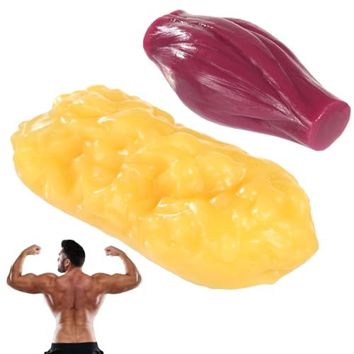 Human Muscle and Fat Anatomy Model Set 7.5in 1lb Fat 1lb Muscle Educational Tool