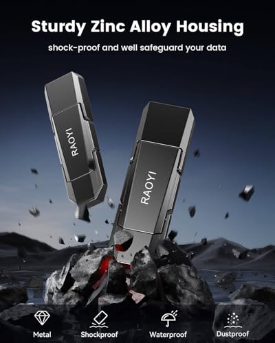 RAOYI 256GB 256USBC External Solid State Drive USB 3.2 Gen 2