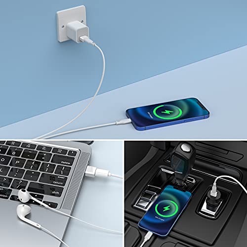 QianLink USB C Female to USB A Male Adapter 4 Count