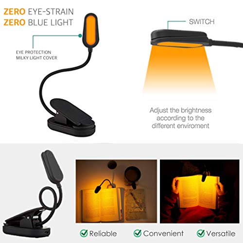 Amber Light+ B10 AL001 1.0W 4 LEDs Tabletop Book Light