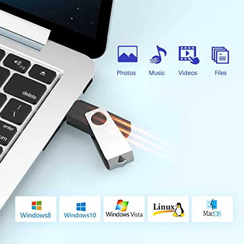 RAOYI 32GB USB 2.0 Flash Drive U666-Black-32G