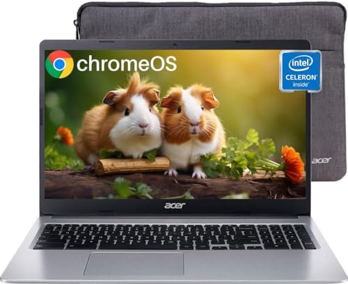 Acer 15.6" f4aecf1b-c2d2-4740-8985-cf273cd76f1a 1366x768 60Hz LCD Chromebook