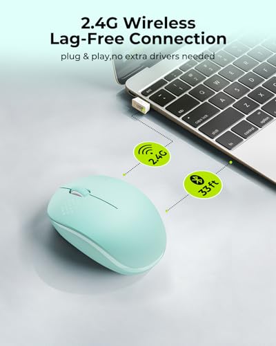 seenda Wireless Mouse for Laptop 2.4G Noiseless Mouse USB Receiver Optical Right Hand 3 Button Compact