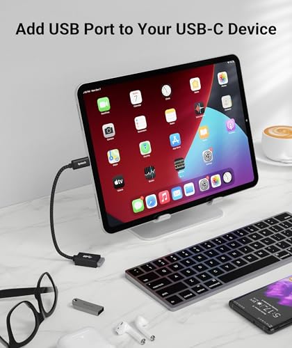 Syntech USB Type C to USB Adapter, 2 Pack, 10Gbps, Compatible with Various Devices