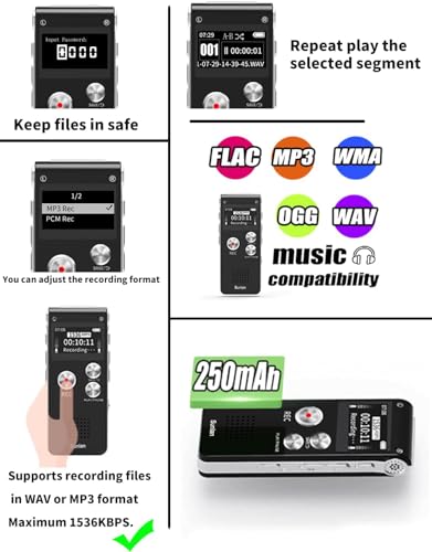 Sunlan 16GB SL0002 Mono WAV USB Digital Voice Recorder