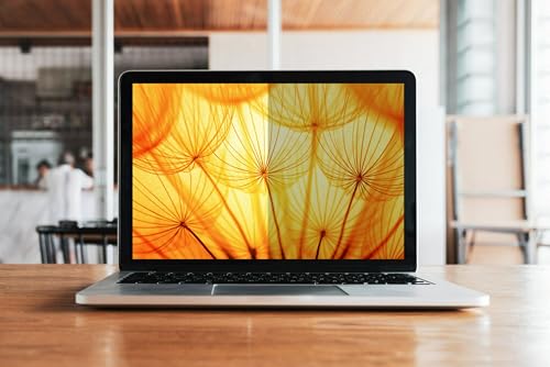3M 14" BP140W1E Privacy Filter, 16:10 Aspect Ratio, Matte Finish