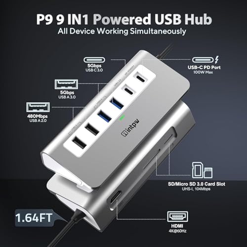 intpw 9-Port P9 USB C Hub Multiport Adapter with HDMI 4K@60Hz, 5Gbps USB 3.0, USB 2.0, SD/TF Card Reader, 100W PD, Aluminum Housing