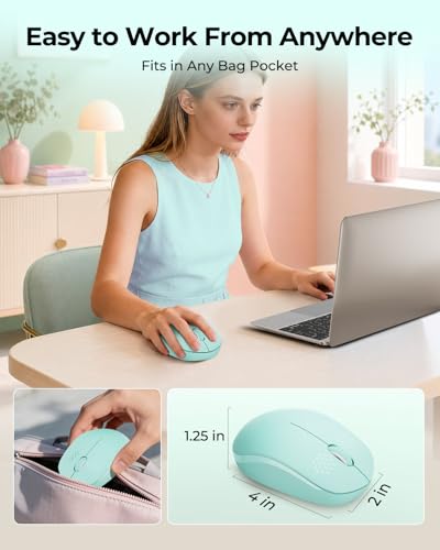 seenda Wireless Mouse for Laptop 2.4G Noiseless Mouse USB Receiver Optical Right Hand 3 Button Compact