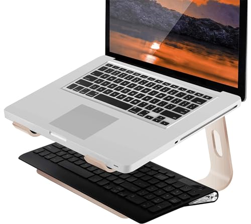 Orionstar 10-15.6 inch M5 Ergonomic Aluminum Laptop Stand Desktop Holder