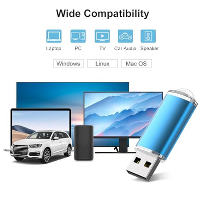 RAOYI 1GB USB 2.0 Flash Drive Model U215BL1G-10 Bulk Pack
